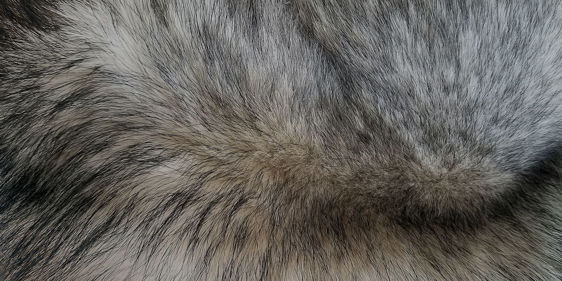 Soft Tanned Furs